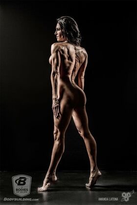 Bodybuilding.com's BodiesWork