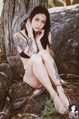 Feryn Suicide