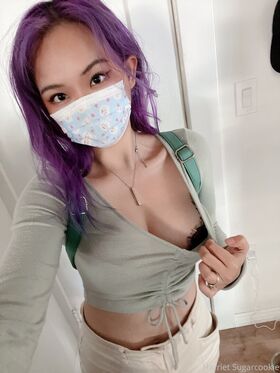 Harriet Sugarcookie