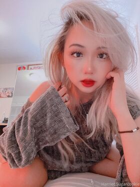 harrietsugarcookie