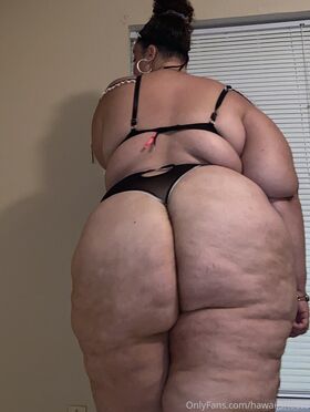 hawaii_bbw