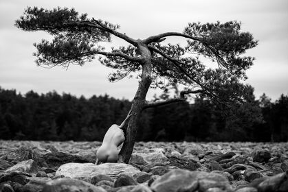 Icelandic Selkie