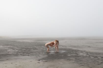 Icelandic Selkie