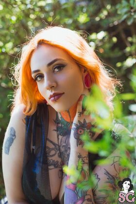 Majora Suicide