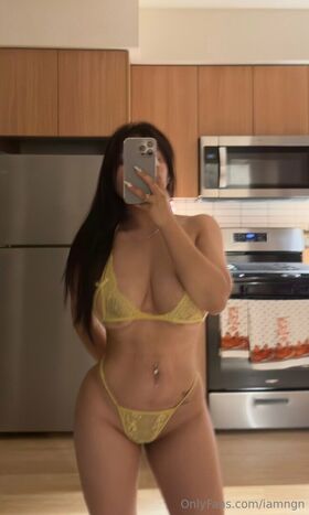 Ngannguyen Nude Leaks OnlyFans Photo 101