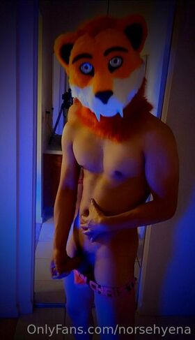 norsehyena Nude Leaks OnlyFans Photo 33