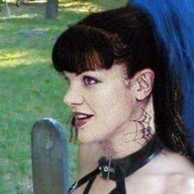 Pauley Perrette