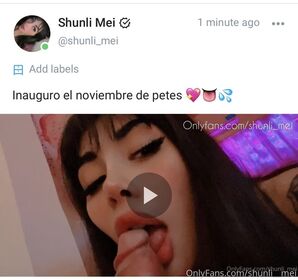 Shunli_Mei Nude Leaks OnlyFans Photo 72