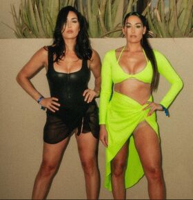 The Bella Twins