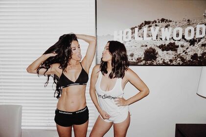 The Bella Twins