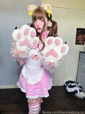 thecutestkittycat