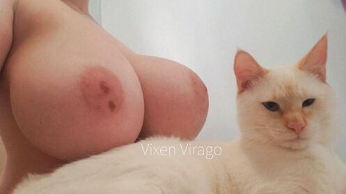 Vixen Virago