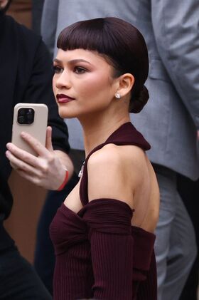 Zendaya Nude Leaks OnlyFans Photo 380