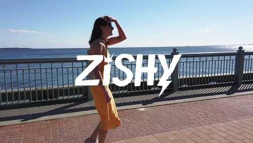 Zishy